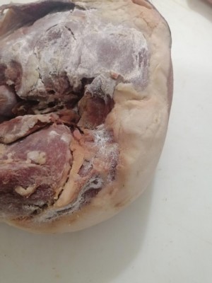 IMG_20210308_145454.jpg (61.26 KiB) Osservato 883 volte IMG_20210308_145454.jpg