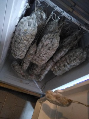 IMG-20211206-WA0014.jpg (72.19 KiB) Osservato 1251 volte IMG-20211206-WA0014.jpg