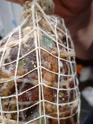 Muffa verde, bianca e pallini giallini / domanda1.jpg domanda1.jpg