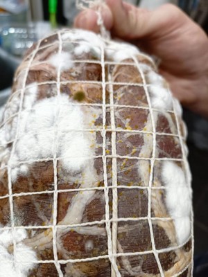 Pallini e punto muffa verde piu scura/marrone / Domanda2.jpg Domanda2.jpg