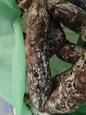 IMG20250806174056.jpg (117.17 KiB) Osservato 476 volte IMG20250806174056.jpg