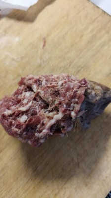 IMG-20250715-WA0008.jpg (53.15 KiB) Osservato 566 volte IMG-20250715-WA0008.jpg