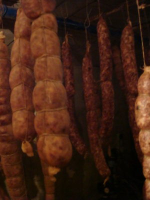 DSC03056.JPG (62.94 KiB) Osservato 751 volte DSC03056.JPG