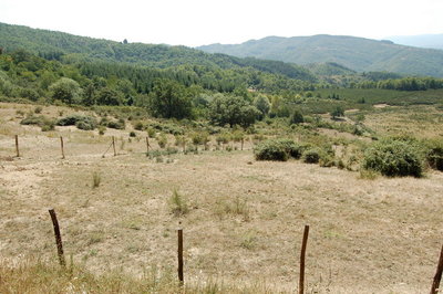 Settore 2 Allevamento.jpg (180.35 KiB) Osservato 1194 volte Settore 2 Allevamento.jpg