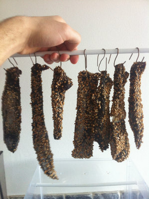 jerky.JPG (209.16 KiB) Osservato 1580 volte jerky.JPG