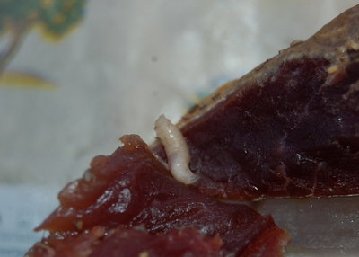 larva di moscone_2.jpg (81.52 KiB) Osservato 7172 volte larva di moscone_2.jpg