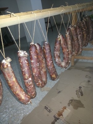 salsiccia.jpg (206.25 KiB) Osservato 800 volte salsiccia.jpg