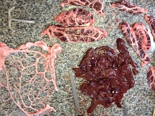 IMG_1412.jpg IMG_1412.jpg