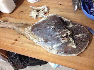 IMG_1451.JPG IMG_1451.JPG