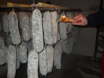 sal25022014.JPG (135.71 KiB) Osservato 940 volte sal25022014.JPG