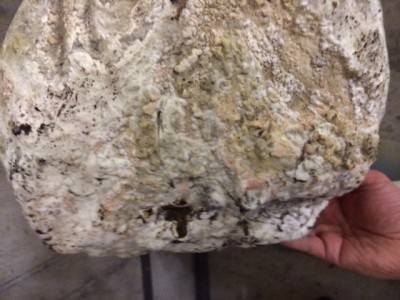 image2.jpeg (139.81 KiB) Osservato 755 volte image2.jpeg