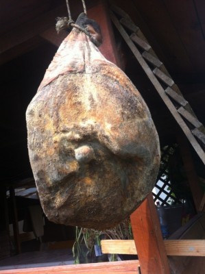 IMG_2908.JPG (152.98 KiB) Osservato 1126 volte IMG_2908.JPG