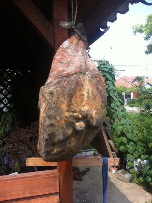 IMG_2904.JPG (158.65 KiB) Osservato 1126 volte IMG_2904.JPG