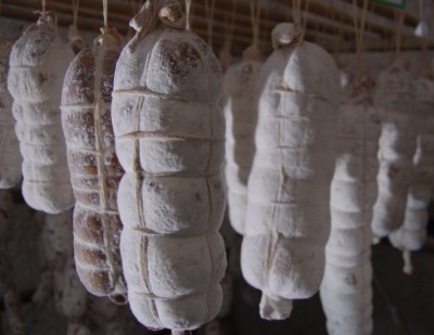 settimo_giorno_piumatura.jpg (109.83 KiB) Osservato 2961 volte settimo_giorno_piumatura.jpg