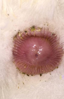 2 / 12914798_1318996788117766_1556401991_o.jpg 12914798_1318996788117766_1556401991_o.jpg