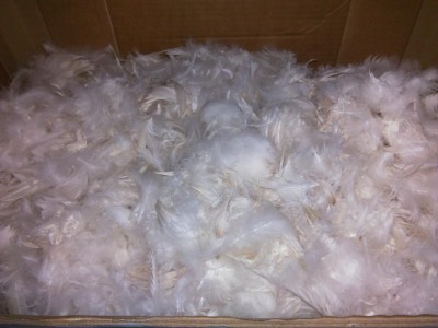 IMG_20170130_103224.jpg (70.51 KiB) Osservato 881 volte IMG_20170130_103224.jpg