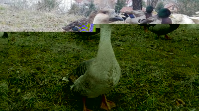 IMG_20170206_144935.jpg (173.9 KiB) Osservato 756 volte IMG_20170206_144935.jpg