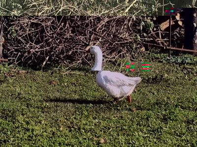 1EE13A97-243D-4AFB-8CC8-E5D088C643A1.jpeg (200.79 KiB) Osservato 2738 volte 1EE13A97-243D-4AFB-8CC8-E5D088C643A1.jpeg