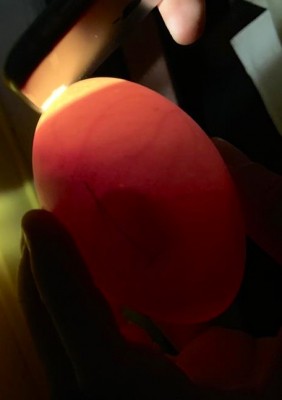 ED09B03E-1C63-4083-9C55-15D154B1D1C9.jpeg (42.81 KiB) Osservato 925 volte ED09B03E-1C63-4083-9C55-15D154B1D1C9.jpeg