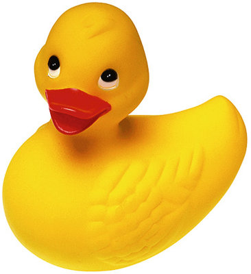 papera.jpg (36.42 KiB) Osservato 1168 volte papera.jpg