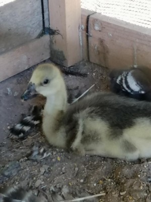 10 giorni / IMG_20210710_112804.jpg IMG_20210710_112804.jpg