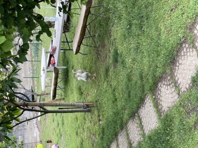 2A0C056D-95F2-4C61-A8D4-47A4437E5548.jpeg (226.75 KiB) Osservato 1248 volte 2A0C056D-95F2-4C61-A8D4-47A4437E5548.jpeg