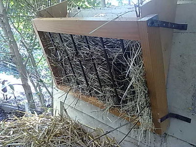 09082011965.jpg (66.74 KiB) Osservato 1979 volte 09082011965.jpg