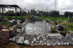 IMGP0103.JPG IMGP0103.JPG