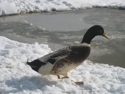 Alessio Streicher / Alessio IMG_3865.jpg Alessio IMG_3865.jpg