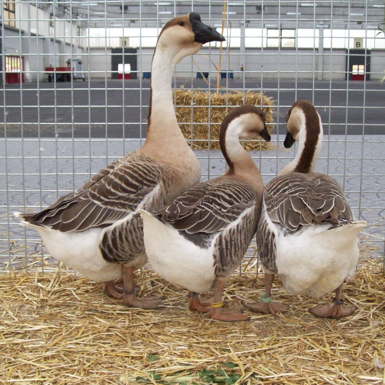 100_0565.JPG 100_0565.JPG