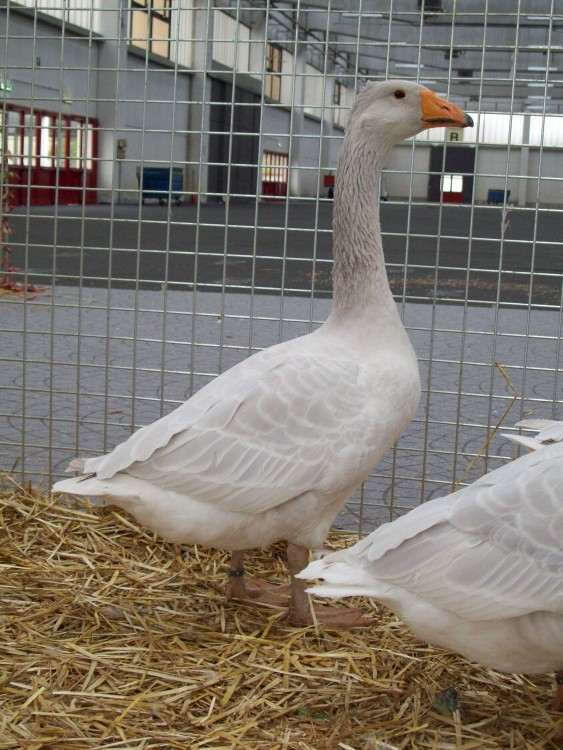 100_0569.JPG 100_0569.JPG