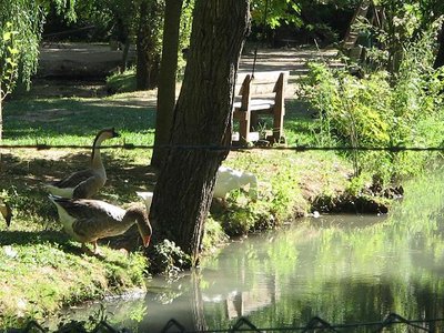 Immagine 126.JPG (132.26 KiB) Osservato 911 volte Immagine 126.JPG