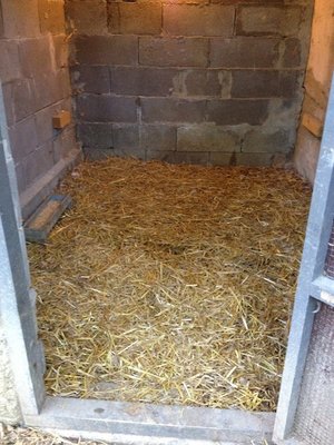 paperaio più grande / IMG_0441.jpg IMG_0441.jpg