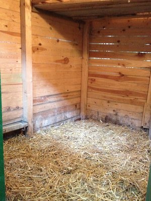 paperaio più piccolo / IMG_0442.jpg IMG_0442.jpg