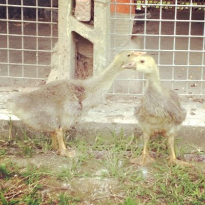 image.jpg (166.83 KiB) Osservato 591 volte image.jpg