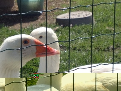 image.jpeg (125.37 KiB) Osservato 809 volte image.jpeg