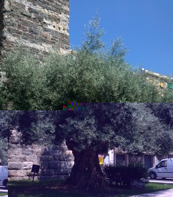 WP_20150805_001.jpg (109.52 KiB) Osservato 724 volte WP_20150805_001.jpg