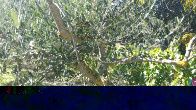 2015-10-24 14.47.18.jpg (300.94 KiB) Osservato 691 volte 2015-10-24 14.47.18.jpg