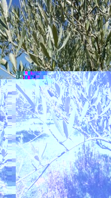 20160330_150241_resized_338x600.jpg (102.44 KiB) Osservato 770 volte 20160330_150241_resized_338x600.jpg