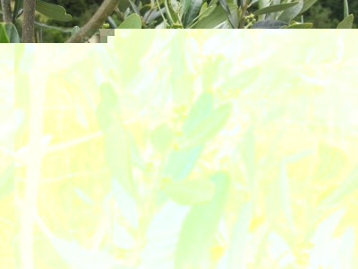 2016-06-01 09.27.44.jpg (113.4 KiB) Osservato 602 volte 2016-06-01 09.27.44.jpg