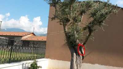 2_800.jpg (302.22 KiB) Osservato 8774 volte 2_800.jpg