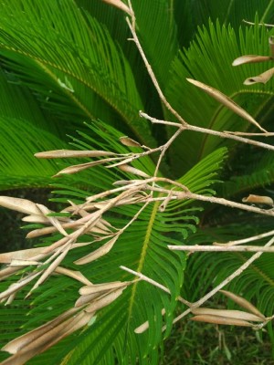 IMG_20160716_0900499.jpg (114.12 KiB) Osservato 837 volte IMG_20160716_0900499.jpg