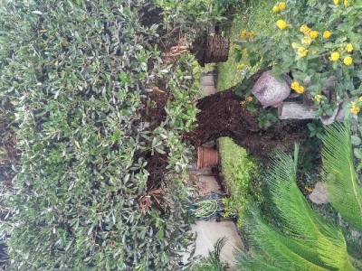 IMG_20160716_0853554.jpg (159.06 KiB) Osservato 837 volte IMG_20160716_0853554.jpg