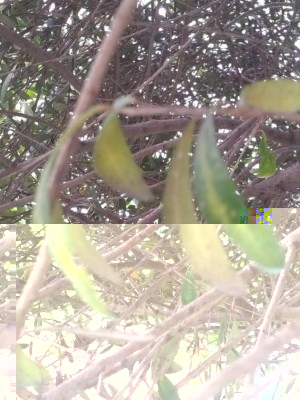 IMG_20160716_0856021.jpg (126.06 KiB) Osservato 837 volte IMG_20160716_0856021.jpg