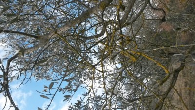 20170220_111710.jpg (157.71 KiB) Osservato 653 volte 20170220_111710.jpg