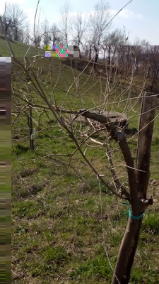 20170316_145148.jpg (171.27 KiB) Osservato 1147 volte 20170316_145148.jpg