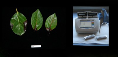 Lamp.jpg (174.62 KiB) Osservato 1639 volte Lamp.jpg