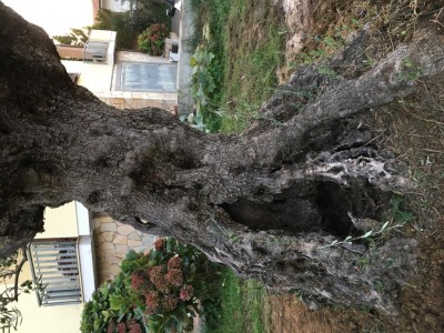 03802F42-D1F4-43C2-924F-B26C3268884A.jpeg (187.73 KiB) Osservato 866 volte 03802F42-D1F4-43C2-924F-B26C3268884A.jpeg