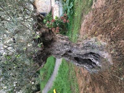 8BDDBAD3-EEDF-46A5-A971-98FE947D026E.jpeg (229.57 KiB) Osservato 866 volte 8BDDBAD3-EEDF-46A5-A971-98FE947D026E.jpeg