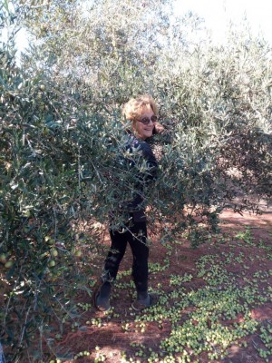 IMG_20171025_155047.jpg (232.82 KiB) Osservato 1258 volte IMG_20171025_155047.jpg